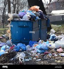 Professional Junk Removal in Sky Lake, FL